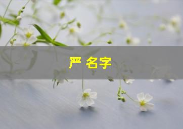 严 名字